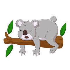 Cute koala cartoon sleeping on a branch. Cute animal cartoon