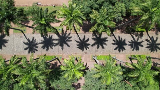 Aerial view of Pra&ccedil;a da Liberdade in Belo Horizonte, Minas Gerais, Brazil
