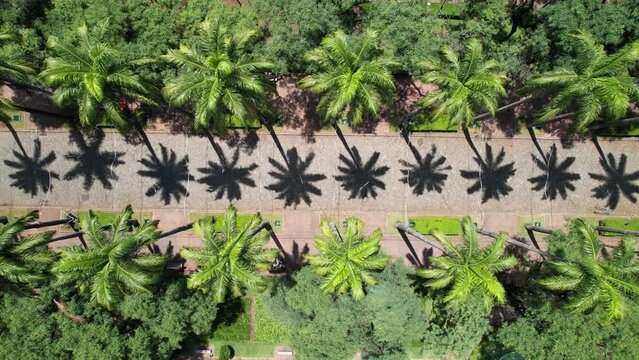 Aerial view of Pra&ccedil;a da Liberdade in Belo Horizonte, Minas Gerais, Brazil