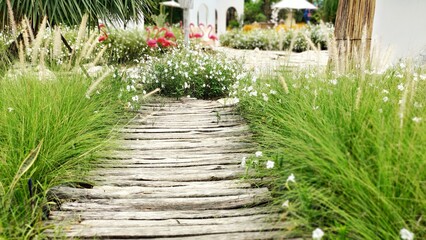 path in the garden