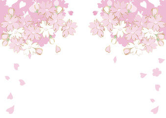 Obraz na płótnie Canvas 桜の花の和風イラスト　フレーム　背景　イラスト素材