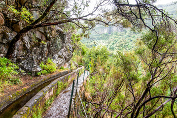 2022 08 17 Madeira levada 19