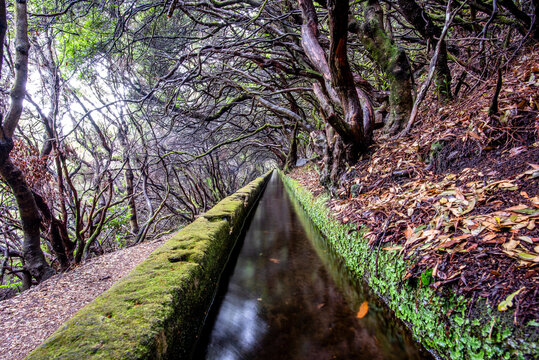 2022 08 17 Madeira levada 5