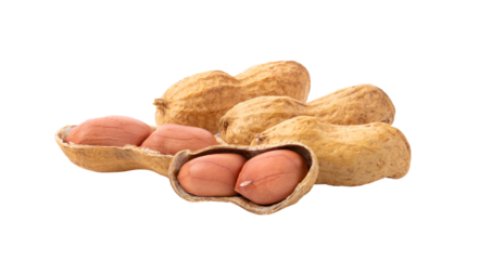 peanuts isolated on transparent png