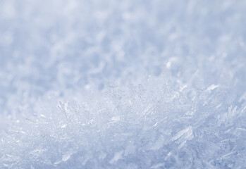 Obraz premium Fresh snow background. Natural winter backdrop. Texture in blue tones