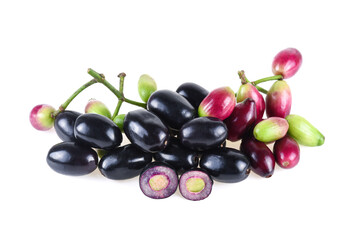 Jambolan plum or Java plum isolated on white background