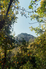 Glimpse of The Bird’s Hill or ‘Pakhi Pahar' (Ayodhya Hills in Purulia district of West Bengal) seen through dense deciduous forest of sal trees. The place is a major travel destination of West Bengal.