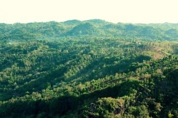 Green Forest Hills in Indonesia, Yogyakarta, Kebun Buah Mangunan