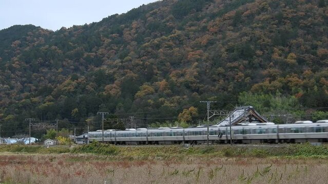 秋の東海道本線 安土～能登川を走る225系新快速列車
