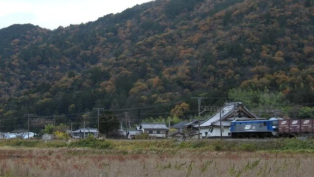 秋の東海道本線 安土～能登川を走るEF210牽引の貨物列車
