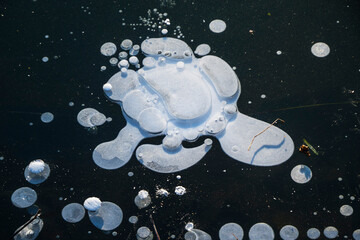 Image in the style of Salvador Dali. 
Air bubbles under the ice created such an image. 
