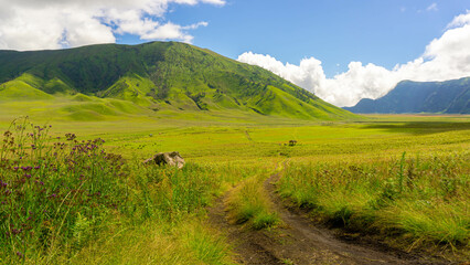 Fototapeta premium Mount Bromo National Park, east Java, Indonesia