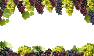 Bunch of grapes isolated