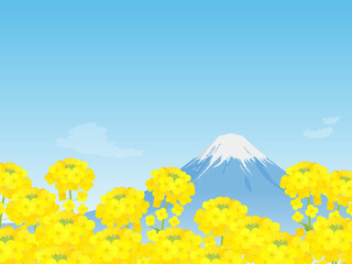 菜の花畑と富士山の美しい風景_ベクターイラスト