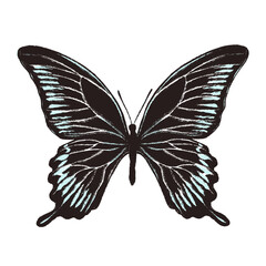 Artistic butterfly, brush and paint texture. High quality illustration