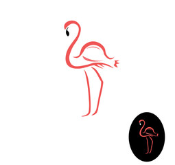 Vector illustration of a pink flamingo isolated on white background. Pink flamingo