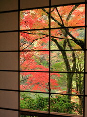 京都嵐峡の紅葉