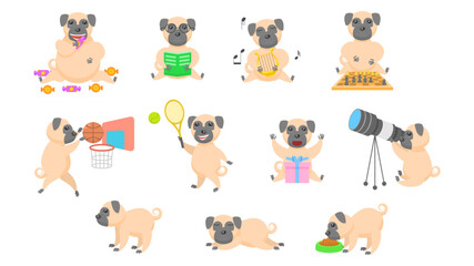 Big Set Abstract Collection Flat Cartoon Different Animal Pug Dogs Puppy Vector Design Style Elements Fauna Wildlife