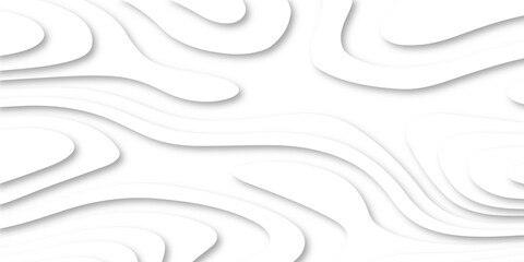 Abstract white paper cut shapes background with shadow and topography map concept. Abstract realistic Papercut decoration background. Vector illustration.