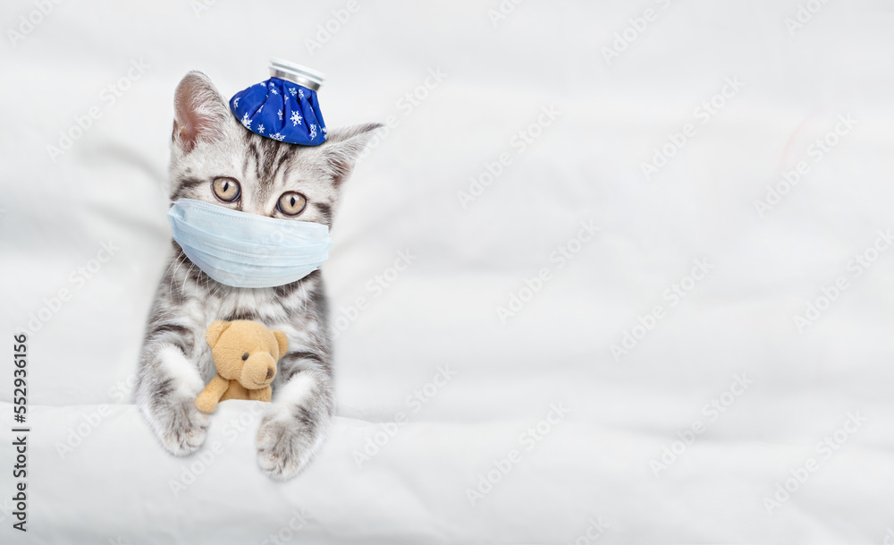 Aufkleber kitten with ice bag or ice pack on his head wearing medical protective mask lying with toy bear unde
