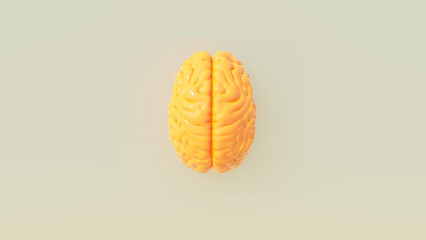 Yellow Orange Human Brain Cover Artwork Intelligence Mind Concept Warm Grey Background Top View 3d illustration render - 552937598