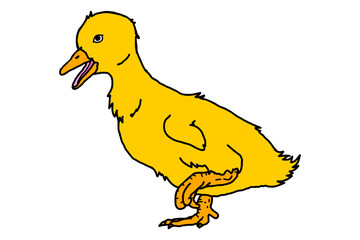 Animal - Adorable duckling vector