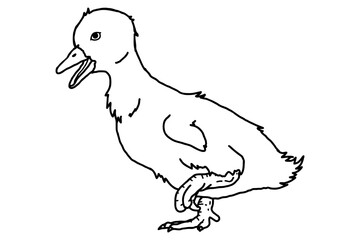 Animal - Adorable duckling Line Art vector