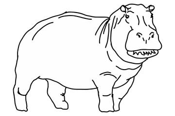 Big hippopotamus