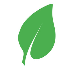 green leaf icon set