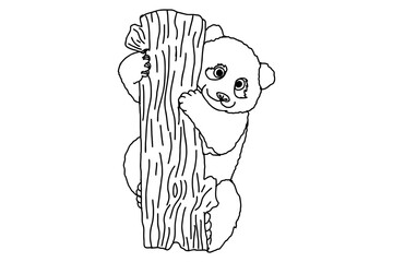 Adorable panda smiling hugging a Tree Trunk