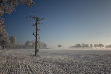 .Power pole in agricultural field in winter foggy scenery