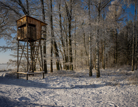 Hunting ladder stand in a forest where the trees are covered with frost in winter
