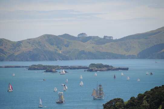 sailing in the Bay of Islands, new zealand