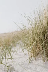 Papier peint photo Herbes des dunes Dried grass stems on beach with white sand. Neutral beige colours nature landscape  © Floral Deco