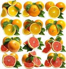 Orange fruit and grapefruit isolated