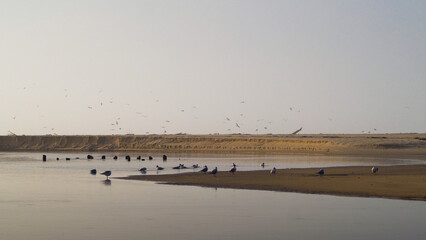 Plage de Moliets-et-Mâa, à proximité du courant de Huchet, en période hivernale.  L'ambiance est froide