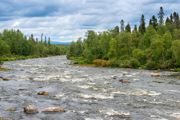 Winding bed of a mountain river in the taiga, flowing through a summer forest after rain