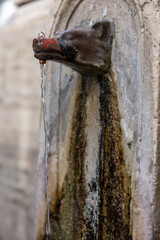 Wolf head public water fountain, Rome, Italy