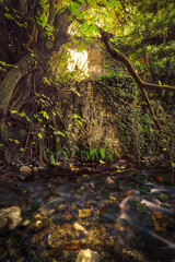 Fototapete bei efototapeten.de bestellen   