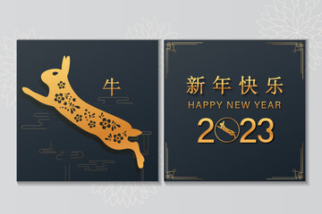 happy new year of the rabbit written in Chinese character, paper art style with elegant flowers and hanging lanterns
