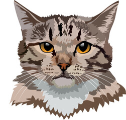 Art: portrait of a tabby cat with yellow eyes and a white chest