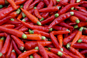 Fresh organic red spicy Thai chilies background. Concept, food ingredients, agriculture crops in Thailand for cooking with spicy food, chiles sauce or chilli paste.