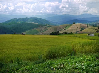 Fotobehang Landschapspanorama van Thaise, terrasvormige padievelden van de provincie Chiangmai. Spectaculaire rijstvelden over berghelling, behang © Darr.di