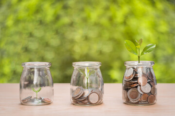 Money or asset growing up like a tree in a bottle, Money saving concept 