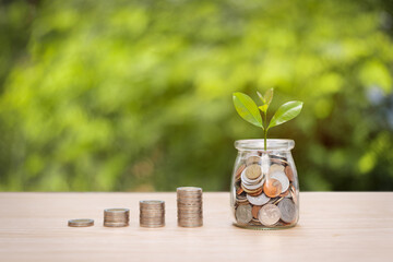Money stack and coin in a bottle with a tree growing up, Money saving concept