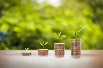 Sprout on a coin stack growing up, Money saving concept, Money Stack growing up like a tree