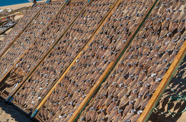 Dried fish in the open air. Traditional seafood drying in the fishing village of Nazare on the shores of the Atlantic Ocean, Portugal.