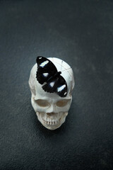 Human skull with black butterfly on abstract dark background close up. creative art surreal Gothic...