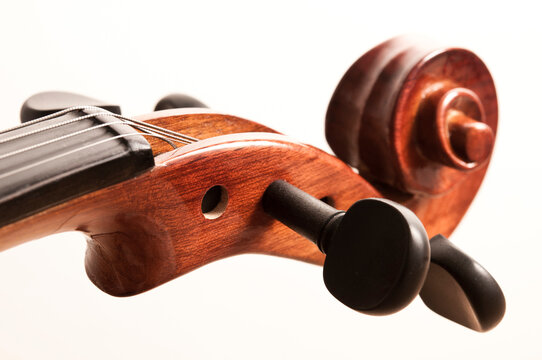 violin close up detail of the scroll and pegs