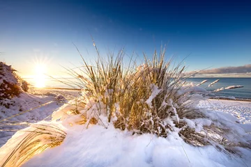 Foto auf Acrylglas winter am meer © haiderose